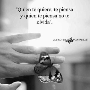 Meet your Posher, Norma